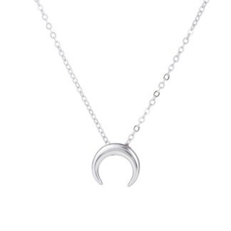 collier corne argent