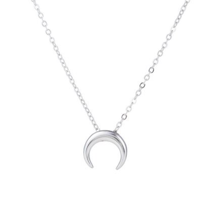 collier corne argent