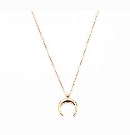 collier corne dore